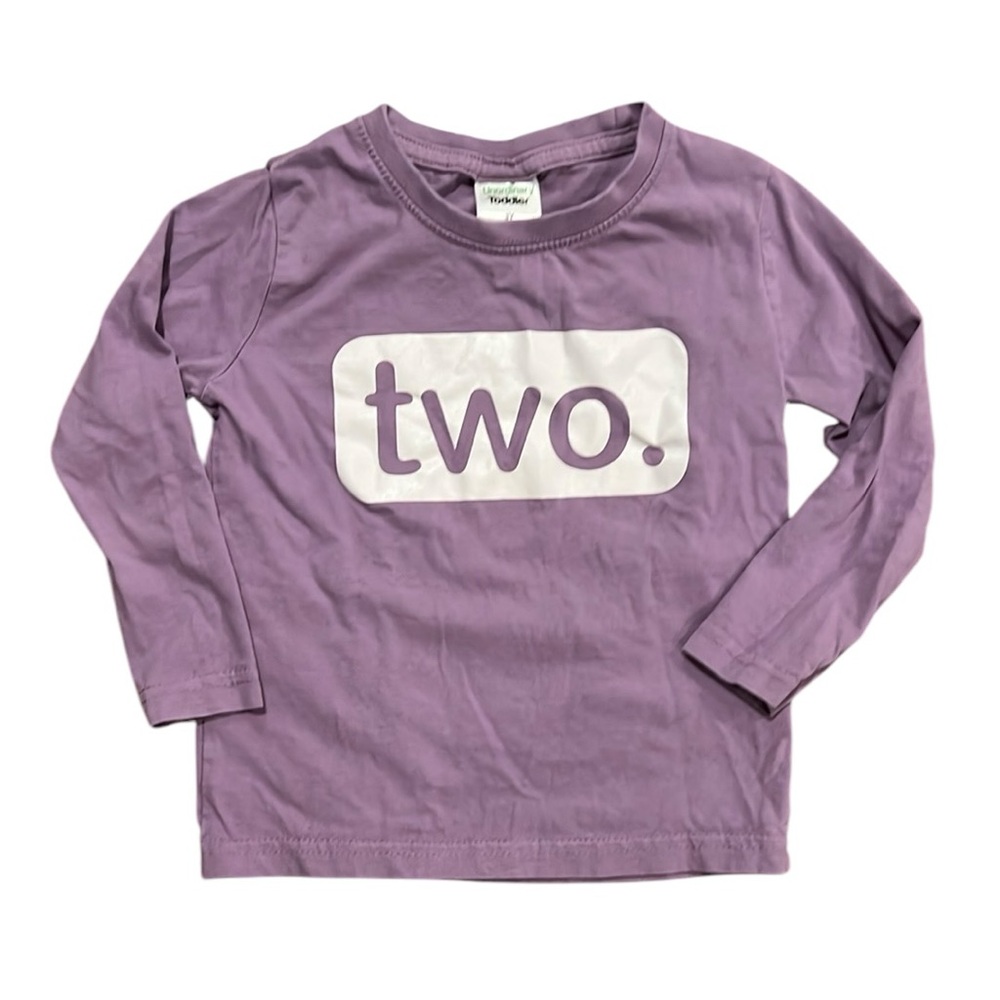 Two Year Old Birthday Shirt, Long Sleeved Purple Size 3T